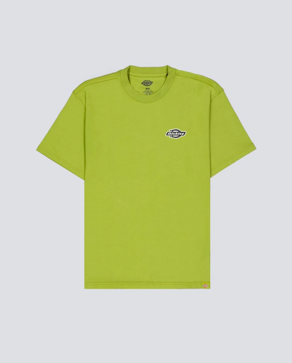 Camiseta Dickies Graysville Verde Hombre