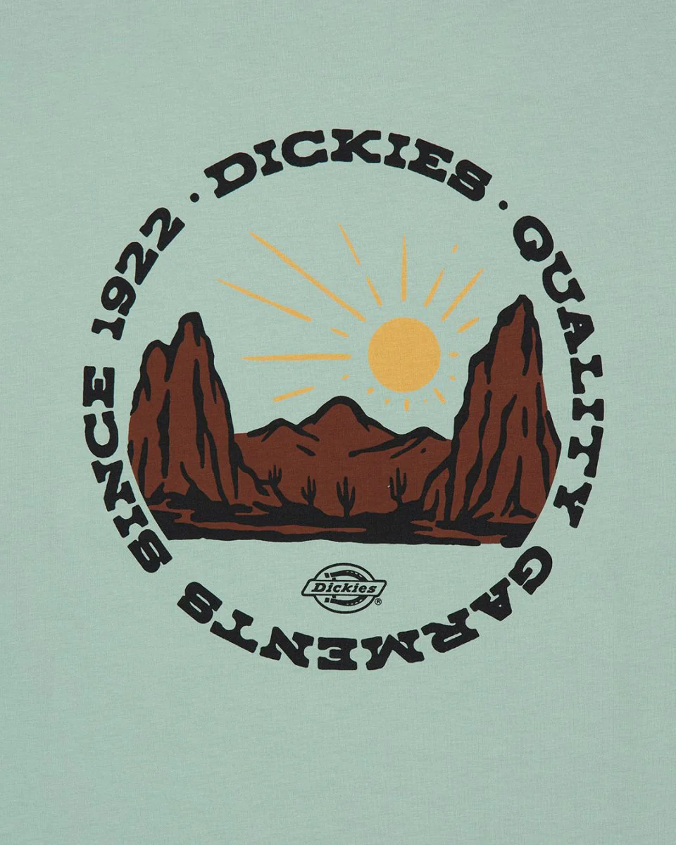 Camiseta Dickies Outdoor Verde Hombre - Image 4