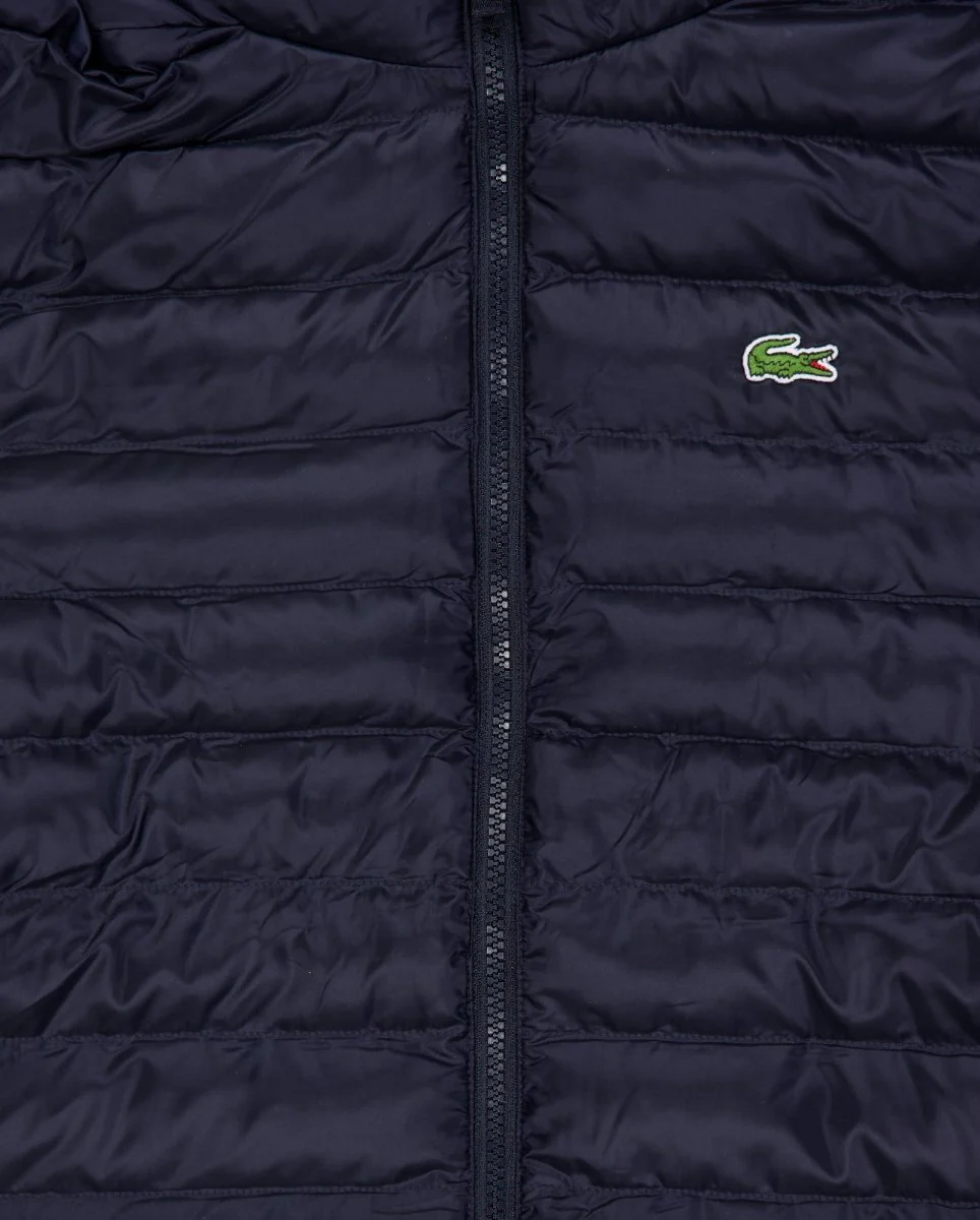 Chaqueta De Plumas Lacoste Blouson Azul Hombre - Image 2