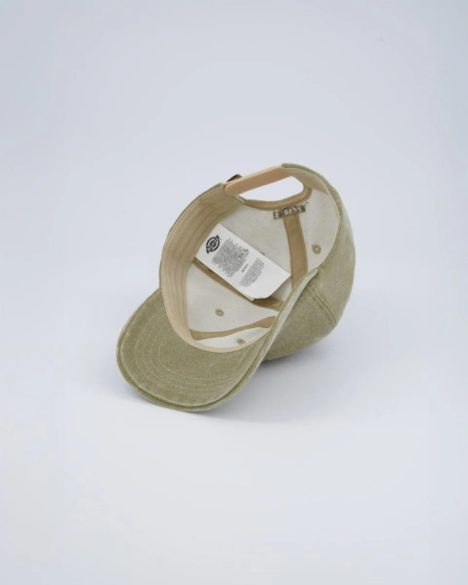 Gorra Dickies Hardwick Duck Canvas Arena Unisex - Image 4