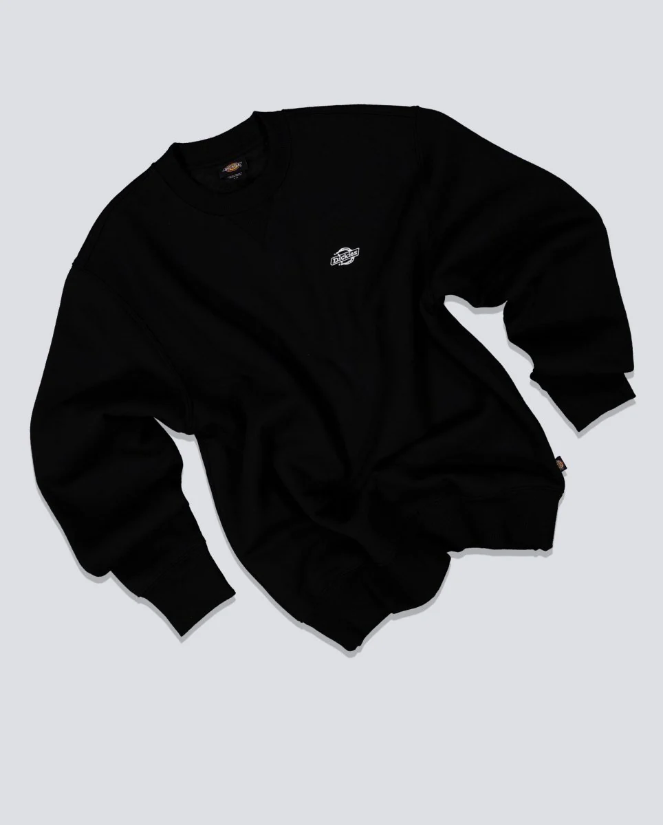 Sudadera Dickies Summerdale Negro Hombre - Image 4
