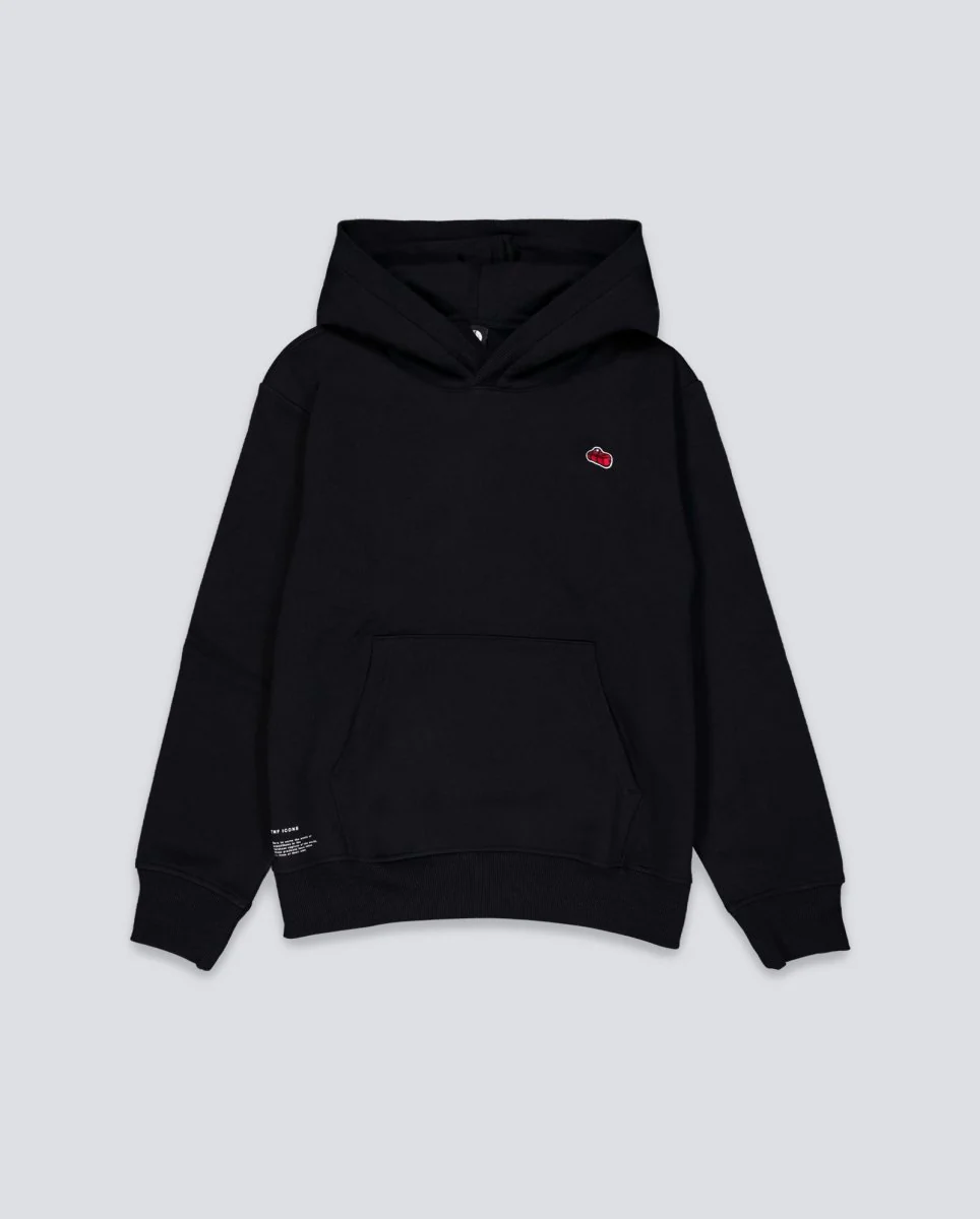 Sudadera The North Face Icon Mountain Negro Hombre